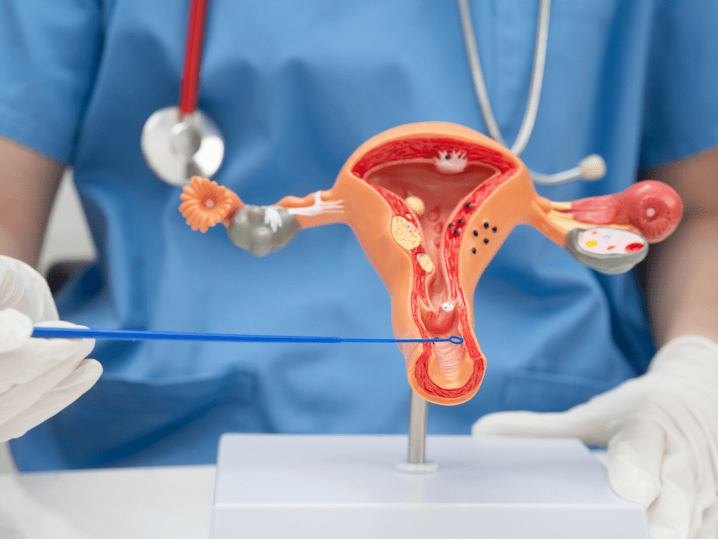 Vaginal tightening for women